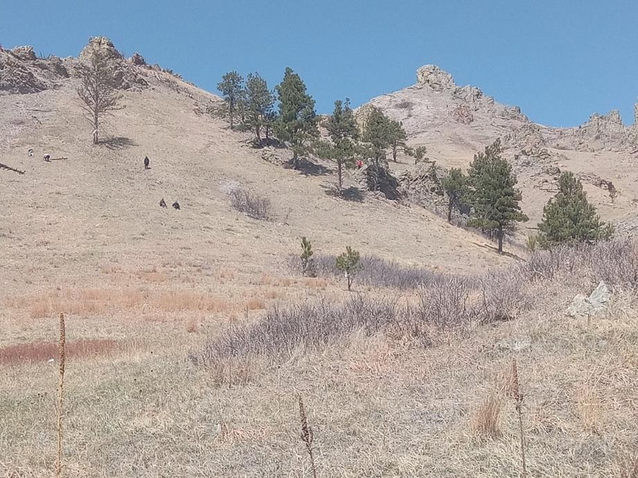 Bear Butte